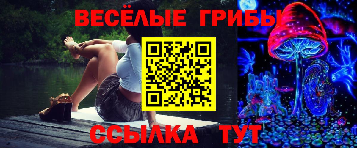 Галлюциногенные грибы MAGIC MUSHROOMS  Вход с VPN  Королёв  Псилоцибиновые грибы мицелий 