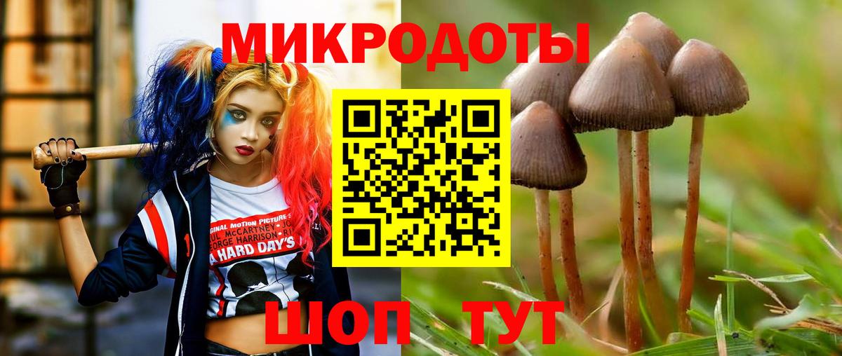 Псилоцибиновые грибы Psilocybe Королёв